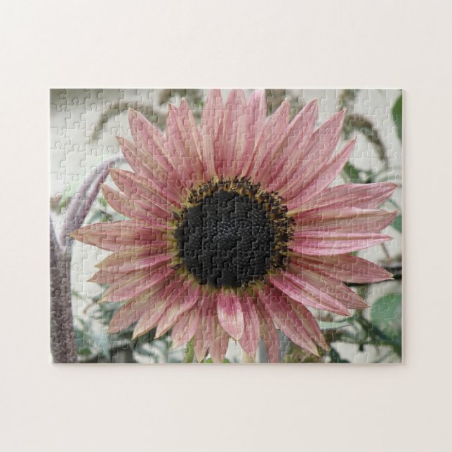 Pellrosa Sonnenblume Puzzle (Horizontal)