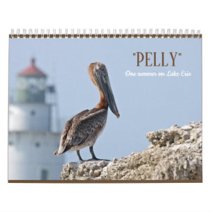 "Pelly - ein Sommer auf dem Eriesee" Wandkalender