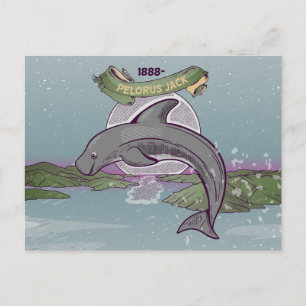 Pelorus Jack Risso-Dolphin Postkarte