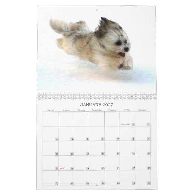 Peluito Havanese . 2011 Kalender (Jan 2027)