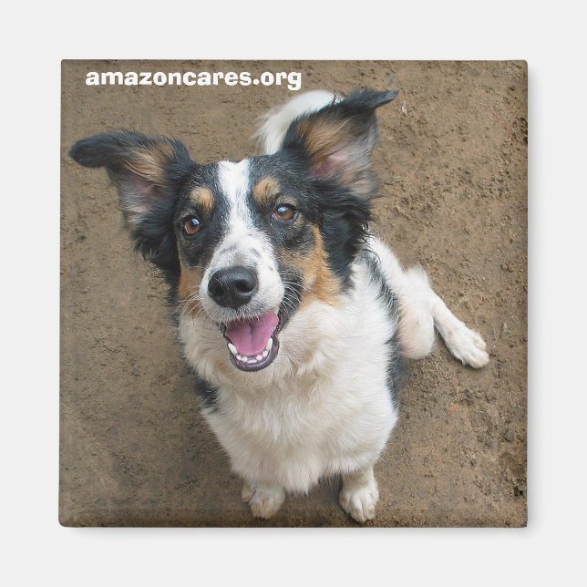 Pelusa Magnet (Vorne)