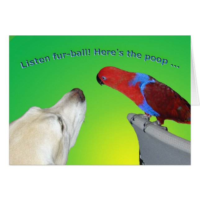 Pelz-Ball (Vorderseite (Horizontal))