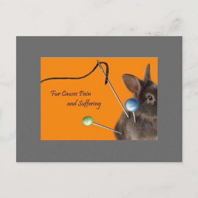 Pelz verursacht Schmerzen und Leiden Postkarte (Vorderseite)