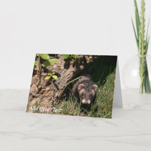 Pelze Babys. Sable Ferrets Feiertagskarte