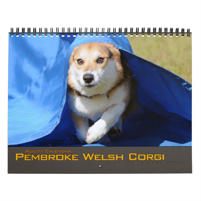 Pembroke-Walisercorgi-Agility-Kalender 2012 Kalender (Titelbild)