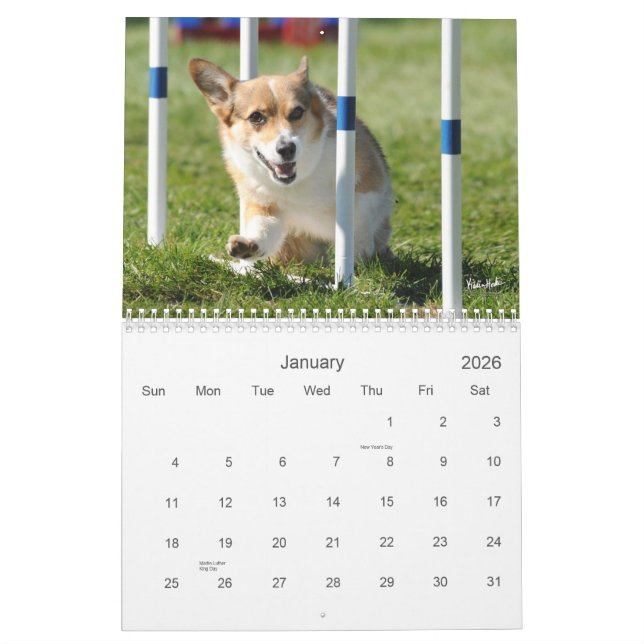 Pembroke-Walisercorgi-Agility-Kalender Kalender (Jan 2026)