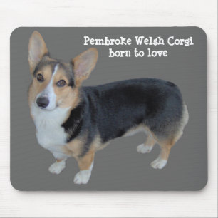 Pembroke-WaliserCorgi gefühlvolles Mousepad
