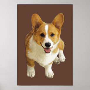 Pembroke-Walisercorgi-glücklicher Druck Poster