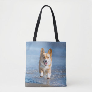 Pembroke-Walisercorgi-Hund, der auf den Strand