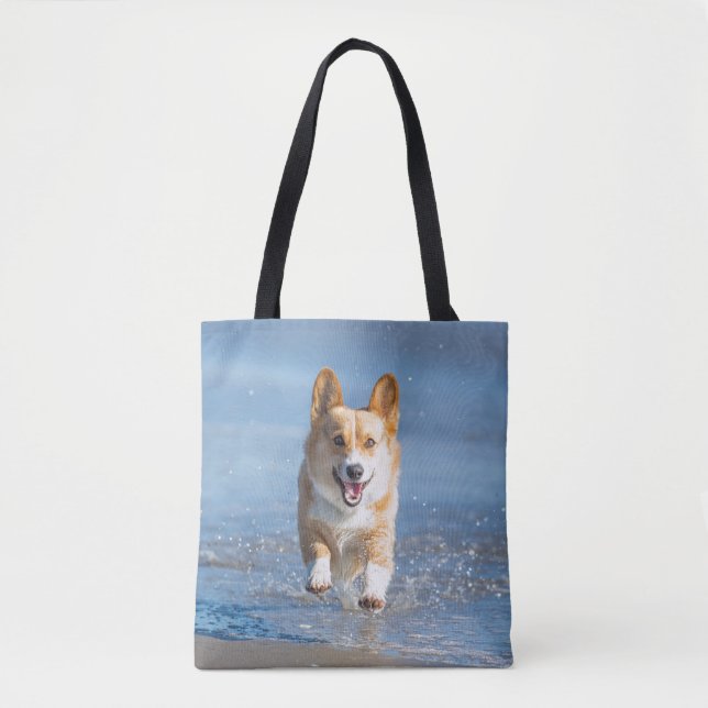 Pembroke-Walisercorgi-Hund, der auf den Strand (Vorderseite)