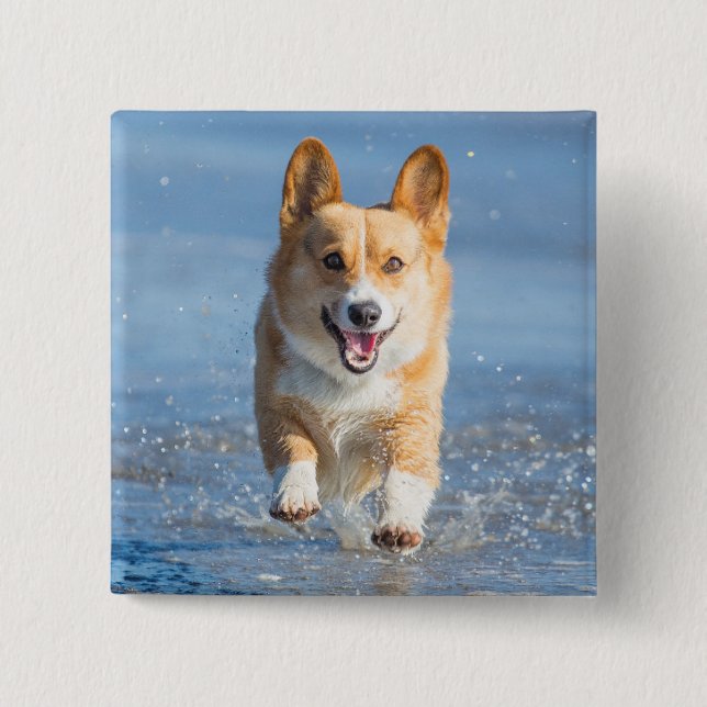 Pembroke-Walisercorgi-Hund, der auf den Strand Button (Vorderseite)