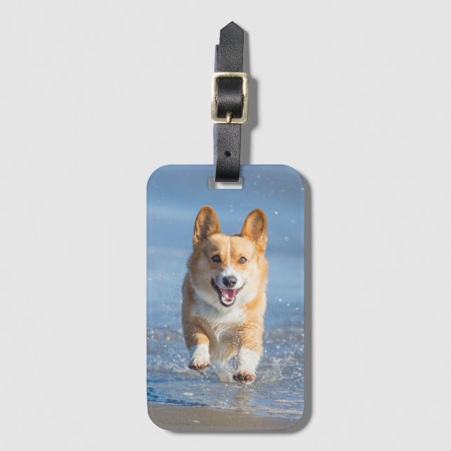 Pembroke-Walisercorgi-Hund, der auf den Strand Gepäckanhänger (Vorderseite Vertikal)