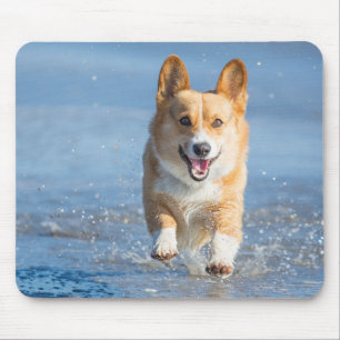 Pembroke-Walisercorgi-Hund, der auf den Strand Mousepad