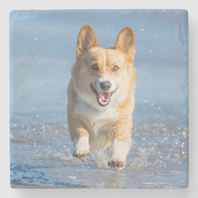 Pembroke-Walisercorgi-Hund, der auf den Strand Steinuntersetzer (Vorderseite)