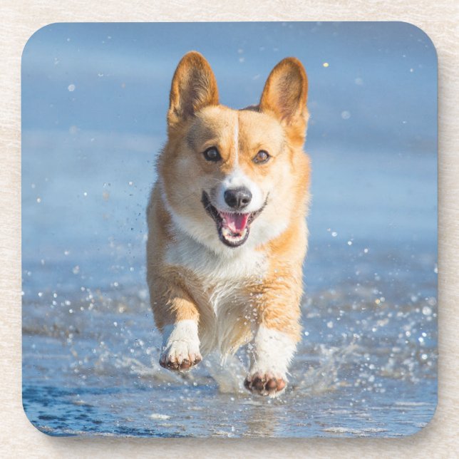 Pembroke-Walisercorgi-Hund, der auf den Strand Untersetzer (Vorderseite)