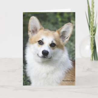 Pembroke-Walisercorgi-Karte Karte