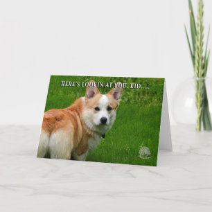 Pembroke-Walisercorgi-Karte Karte