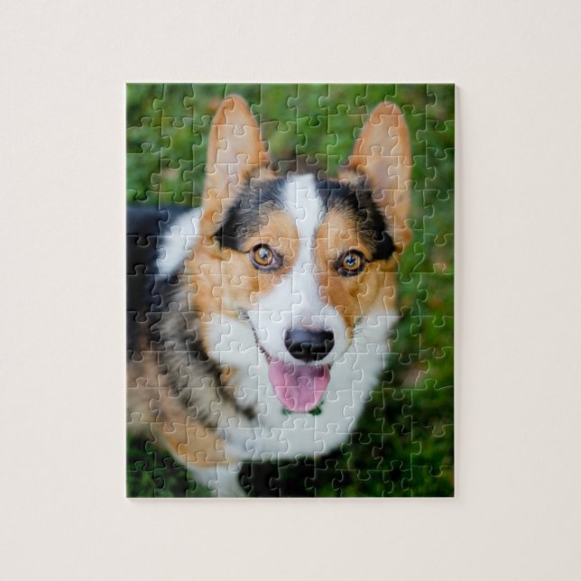 Pembroke-WaliserCorgi Puzzle (Vertikal)