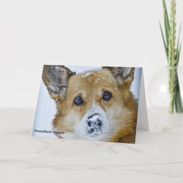 PEMBROKE-WALISERcorgi-SCHNEE-NASE Karte (Vorderseite)