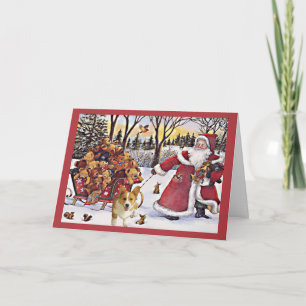 Pembroke-Walisercorgi-Weihnachtskarten-Sankt-Bären Feiertagskarte