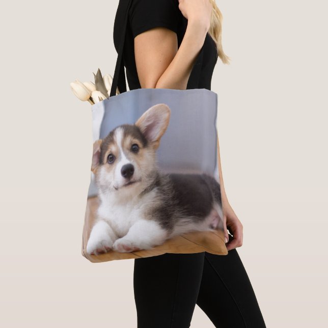 Pembroke-Walisercorgi-Welpe (Von Nahem)