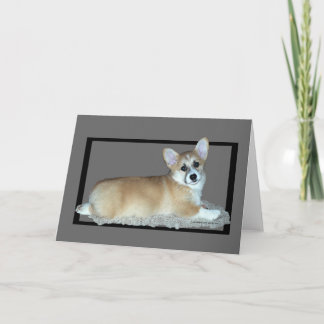 Pembroke-Walisercorgi-Welpe Karte