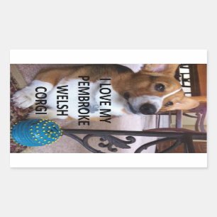 pembroke welse corgi fawn Liebe w pic Rechteckiger Aufkleber