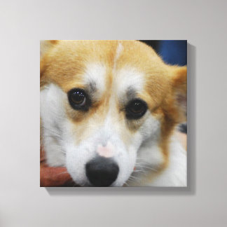 Pembroke Welsh Corgi Canvas Print Leinwanddruck