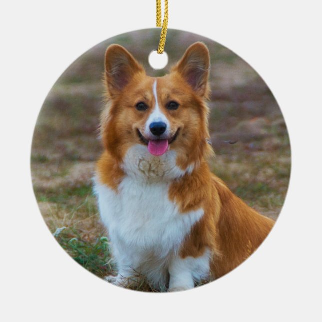 Pembroke Welsh Corgi Dog Keramik Ornament (Vorne)