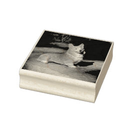 Pembroke Welsh Corgi Gummistempel