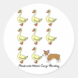 Pembroke Welsh Corgi Herding Ducks Runder Aufkleber