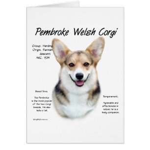 Pembroke Welsh Corgi History Design