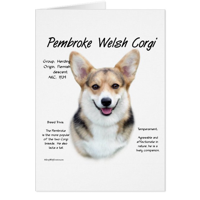 Pembroke Welsh Corgi History Design (Vorne)