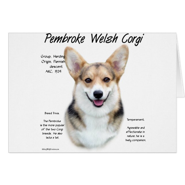 Pembroke Welsh Corgi History Design (Vorderseite (Horizontal))