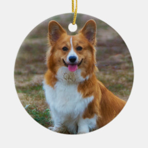 Pembroke Welsh Corgi Hund Keramik Ornament