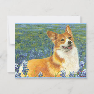 Pembroke Welsh Corgi in Texas Bluebonnets