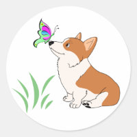 Pembroke Welsh Corgi mit Butterfly