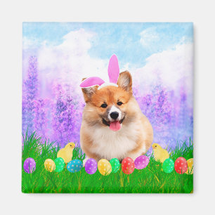 Pembroke Welsh Corgi mit Ostereiern Bunny Chick Magnet