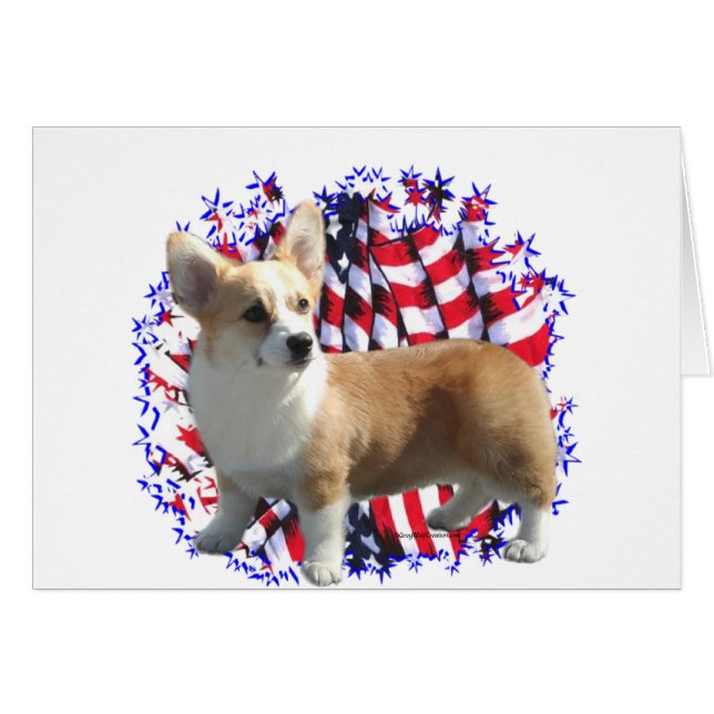 Pembroke Welsh Corgi Patriot (Vorderseite (Horizontal))
