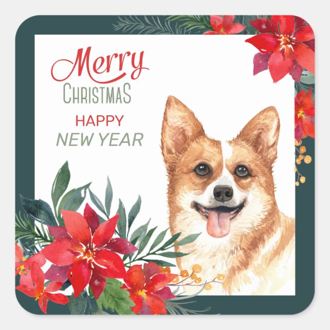 Pembroke Welsh Corgi Poinsettia Weihnachten Quadratischer Aufkleber (Vorderseite)