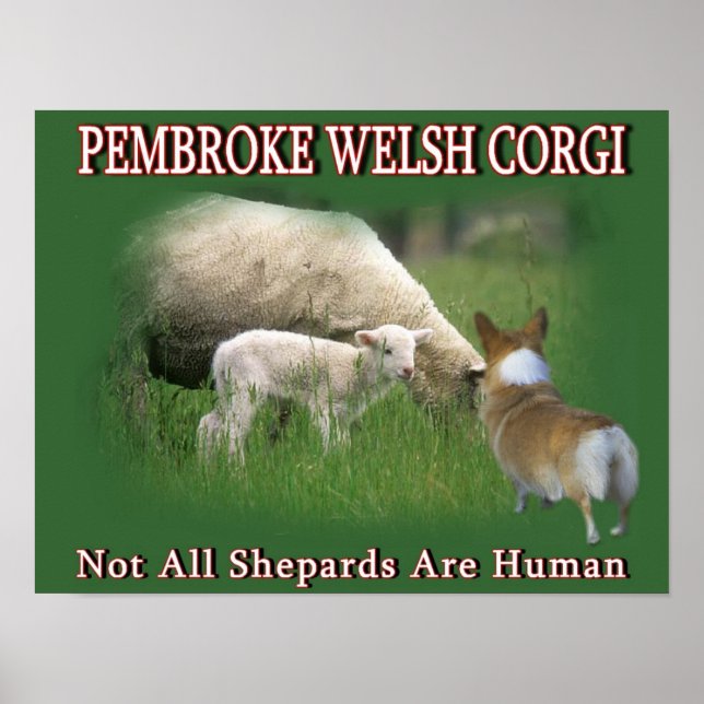 PEMBROKE WELSH CORGI POSTER (Vorne)