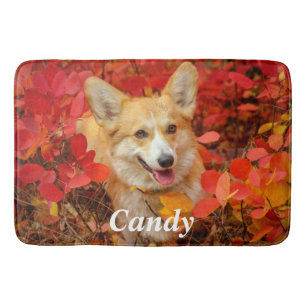 Pembroke Welsh Corgi Puppy Dog in Red Blätter Badematte