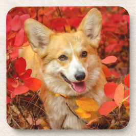 Pembroke Welsh Corgi Puppy Dog in Red Blätter Getränkeuntersetzer