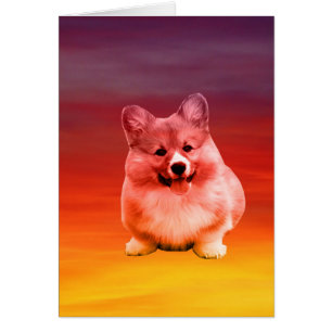 Pembroke Welsh Corgi sitzt am Strand