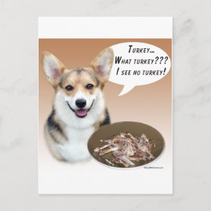 Pembroke Welsh Corgi Türkei Postkarte