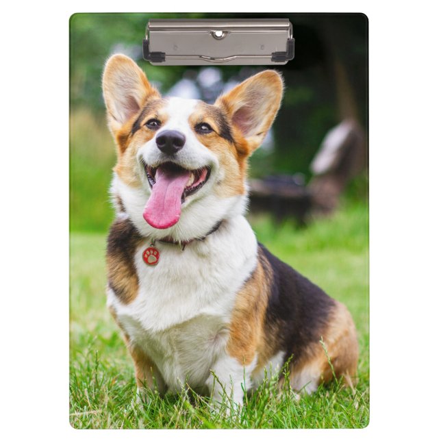 Pembroke Welsh Corgi Welpe Hund Klemmbrett (Vorderseite)