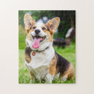 Pembroke Welsh Corgi Welpe Hund Puzzle