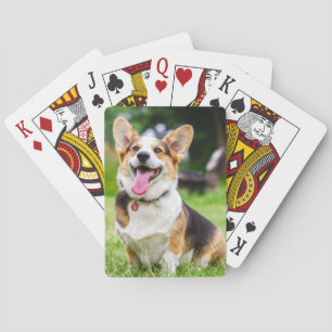Pembroke Welsh Corgi Welpe Hund Spielkarten