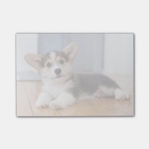 Pembroke Welsh Corgi Welpe Post-it Klebezettel
