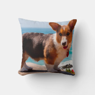 Pembroke Welsh Corgi-Welpe steht auf einem Tisch Kissen